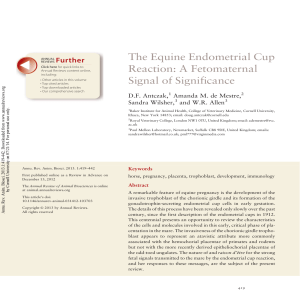 The Equine Endometrial Cup Reaction