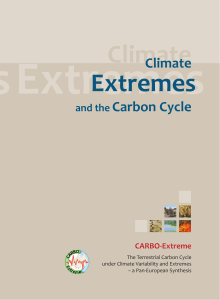 Climate and the Carbon Cycle - CARBO
