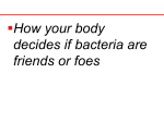 How your body decides if bacteria are friends or foes