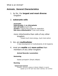 What is an Animal? Animals: General Characteristics 1. by far, the