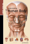 Understanding The Human Body