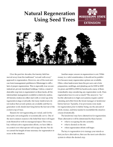 Natural Regeneration Using Seed Trees