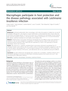 Macrophages participate in host protection and the