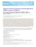 Seizure control by decanoic acid through direct AMPA