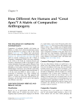 How Different Are Humans and “Great Apes”? A Matrix