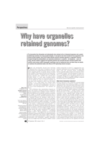 Why have organelles retained genomes?
