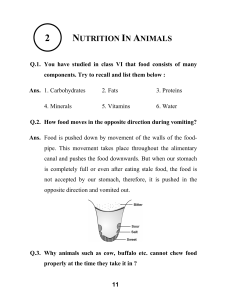 Ans. - Testlabz.com