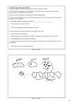 Oct 2310:58 AM Comparing Cells Lab Analysis Questions