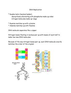 DNA Replication