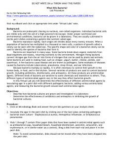 Bacteria Virtual Lab Procedure Analysis