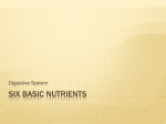 Six Basic Nutrients