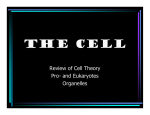 The Cell - Shelly`s Science Spot