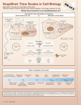 SnapShot: Time Scales in Cell Biology