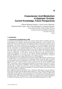 Crassulacean Acid Metabolism in Epiphytic Orchids