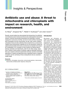 Antibiotic use and abuse: A threat to mitochondria and chloroplasts