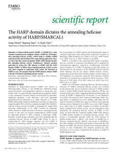 The HARP domain dictates the annealing helicase