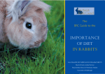 Importance of diet - The British Rabbit Council