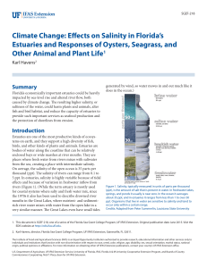 Climate Change: Effects on Salinity in Florida`s Estuaries