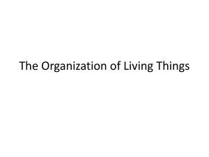 The Organization of Living Things