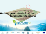 Working group results from the Târnava Marè focal area