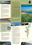Seashores brochure - Shetland Heritage