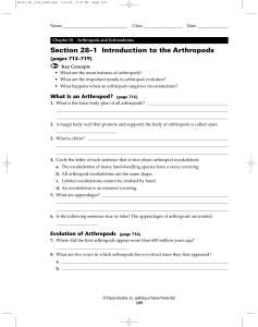 Section 28–1 Introduction to the Arthropods