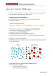 Unit 3 Revision Notes - St. Mary`s Independent School