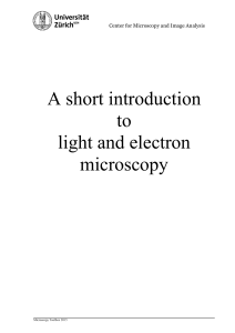 A short introduction to light and electron microscopy