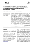 Structure of c-Phycocyanin from the Thermophilic