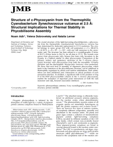 Structure of c-Phycocyanin from the Thermophilic