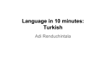 Language in 10 minutes: Turkish