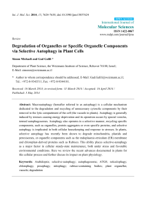 Degradation of Organelles or Specific Organelle Components via