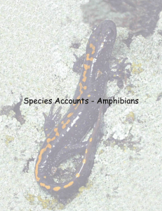 2010 Biological Manual of Listed Species – Amphibians and Reptiles