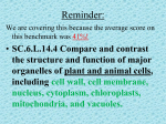 SC.6.L.14.4 Compare and contrast the structure and function of