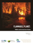 Flammable Planet - The Cost of Carbon Pollution