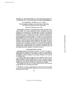 STUDIES ON THE MECHANISM OF THE PHOTOSENSITIZED