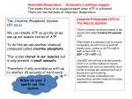 Anaerobic Respiration - Anaerobic is without
