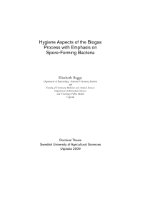 Hygiene Aspects of the Biogas Process with Emphasis on Spore