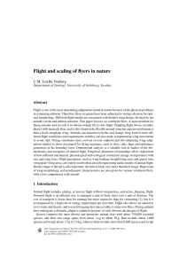 Flight and scaling of flyers in nature