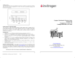 Caspase Colorimetric Protease Assay Sampler Kit (Caspases-2,