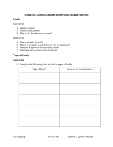 Evidence of Common Ancestry and Diversity Chapter