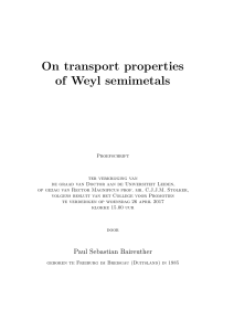 On transport properties of Weyl semimetals - Instituut