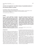 Articulins and epiplasmins - Journal of Cell Science