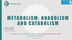 metabolism: anabolism and catabolism