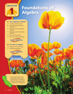 Foundations of Algebra