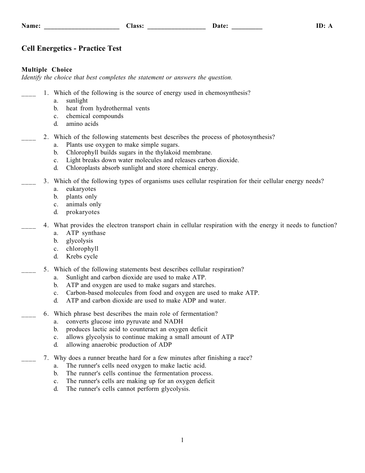 Bestseller: Assessment Quiz Photosynthesis And Cellular Respiration Answers