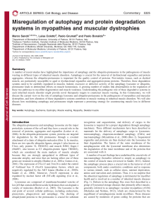 Misregulation of autophagy and protein degradation systems in