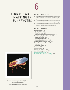 LINKAGE AND MAPPING IN EUKARYOTES