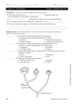 Chapter 18 Classification Chapter Vocabulary Review