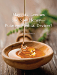 Maggots, Leeches and Now Honey— Putative Medical Devices